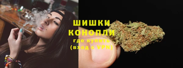 Альфа ПВП Лагань