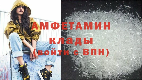 прущие грибы Тутаев