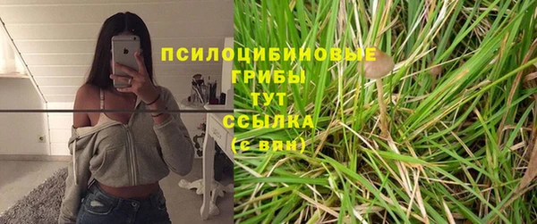 метадон Ладушкин