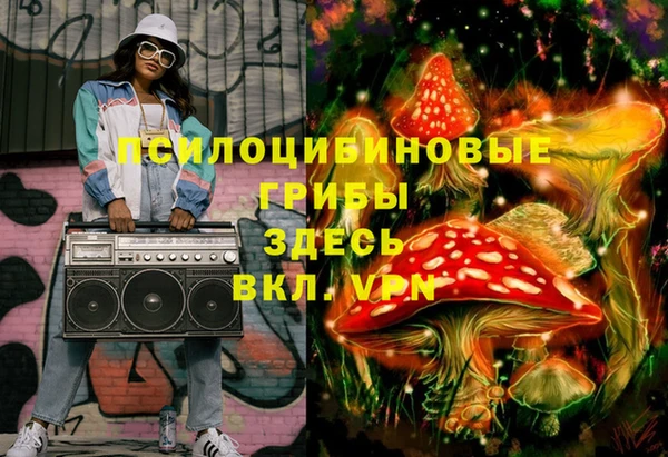 бошки Лабытнанги