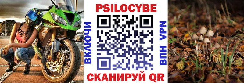 Псилоцибиновые грибы мухоморы  наркотики  Изобильный 