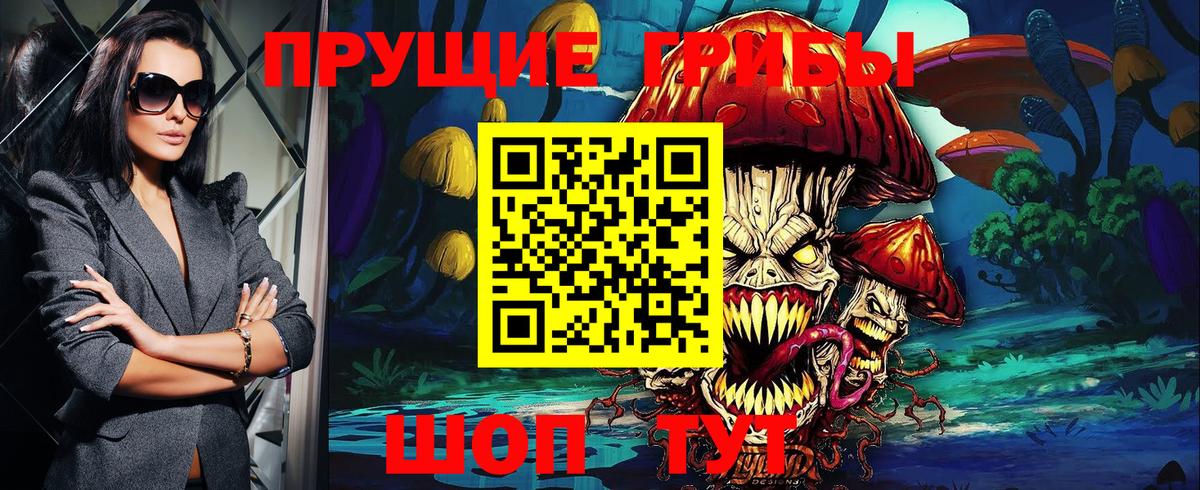 Псилоцибиновые грибы ЛСД  Псилоцибиновые грибы ЛСД  купить наркотики цена  Вход с VPN  Изобильный 