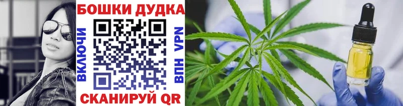 купить наркоту  Изобильный  Бошки Шишки SATIVA & INDICA 